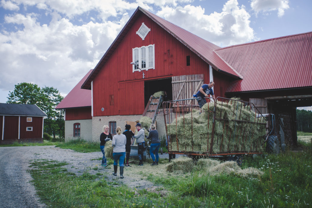 Bildarkiv – Rasmusbyn