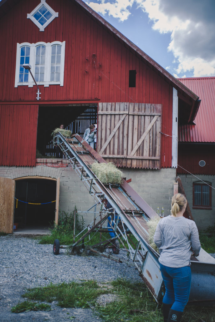 Bildarkiv – Rasmusbyn