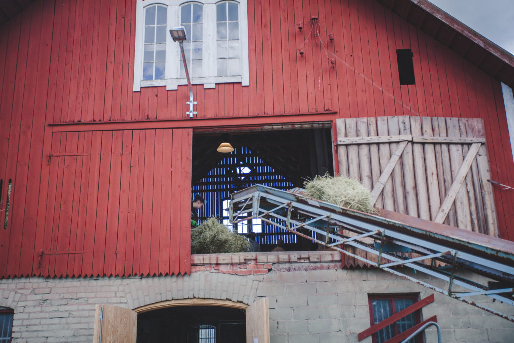 Bildarkiv – Rasmusbyn