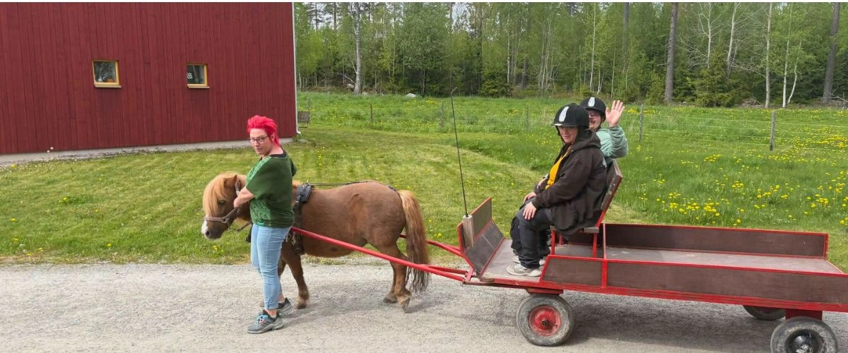 Boendemiljö på vårt LSS-boende i Närke – bybo, häst och vagn i naturnära omgivning tillsammans med personal."