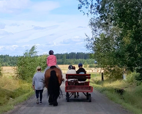 LSS-boende i lantlig miljö med närhet till naturen, Rasmusbyn Örebro län