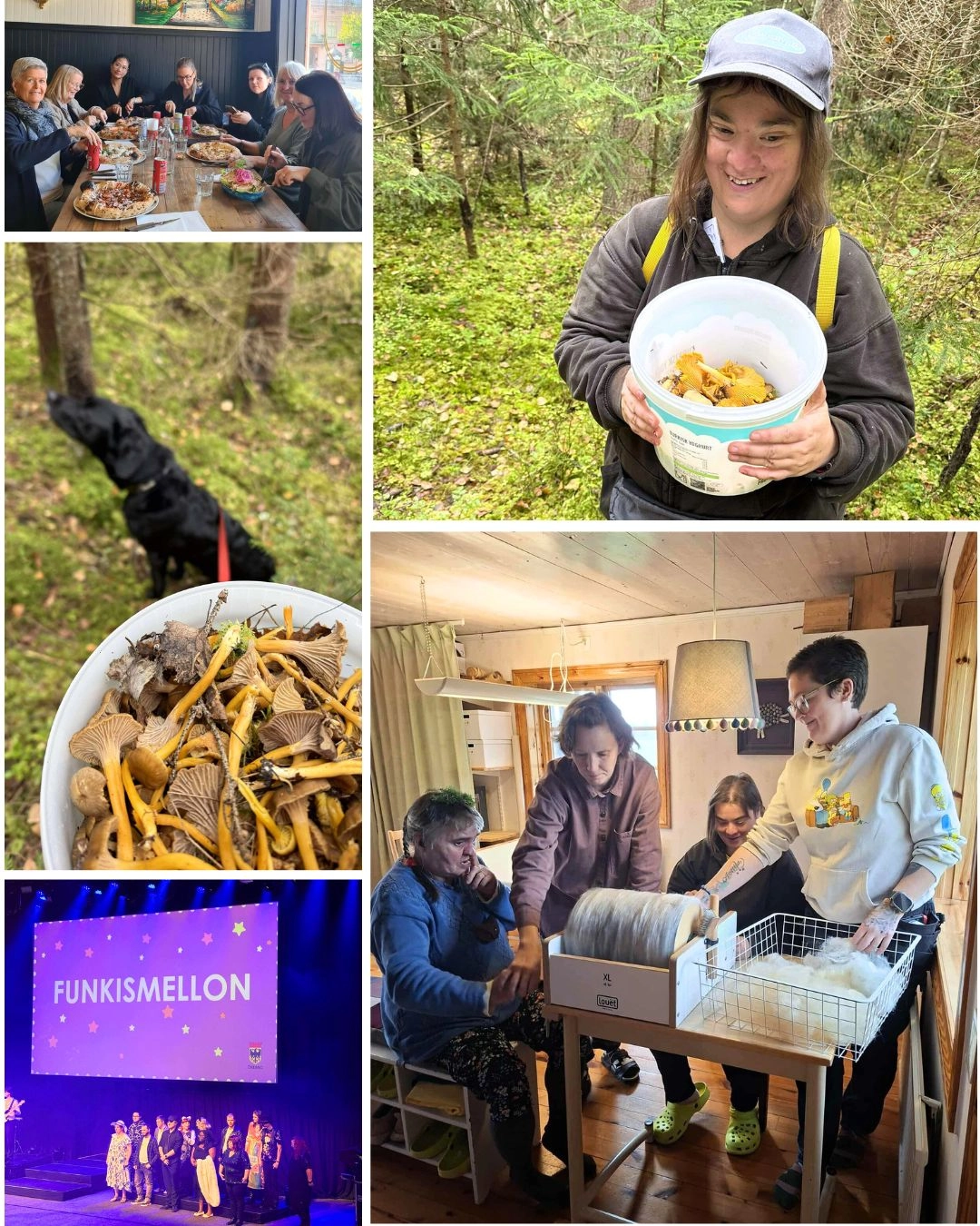 lss-boende-rasmusbyn-oktober-2025-collage-1 Bilder från Rasmusbyns LSS-boende under oktober – svampplockning, gemensamma måltider och arbete med djur och ull.