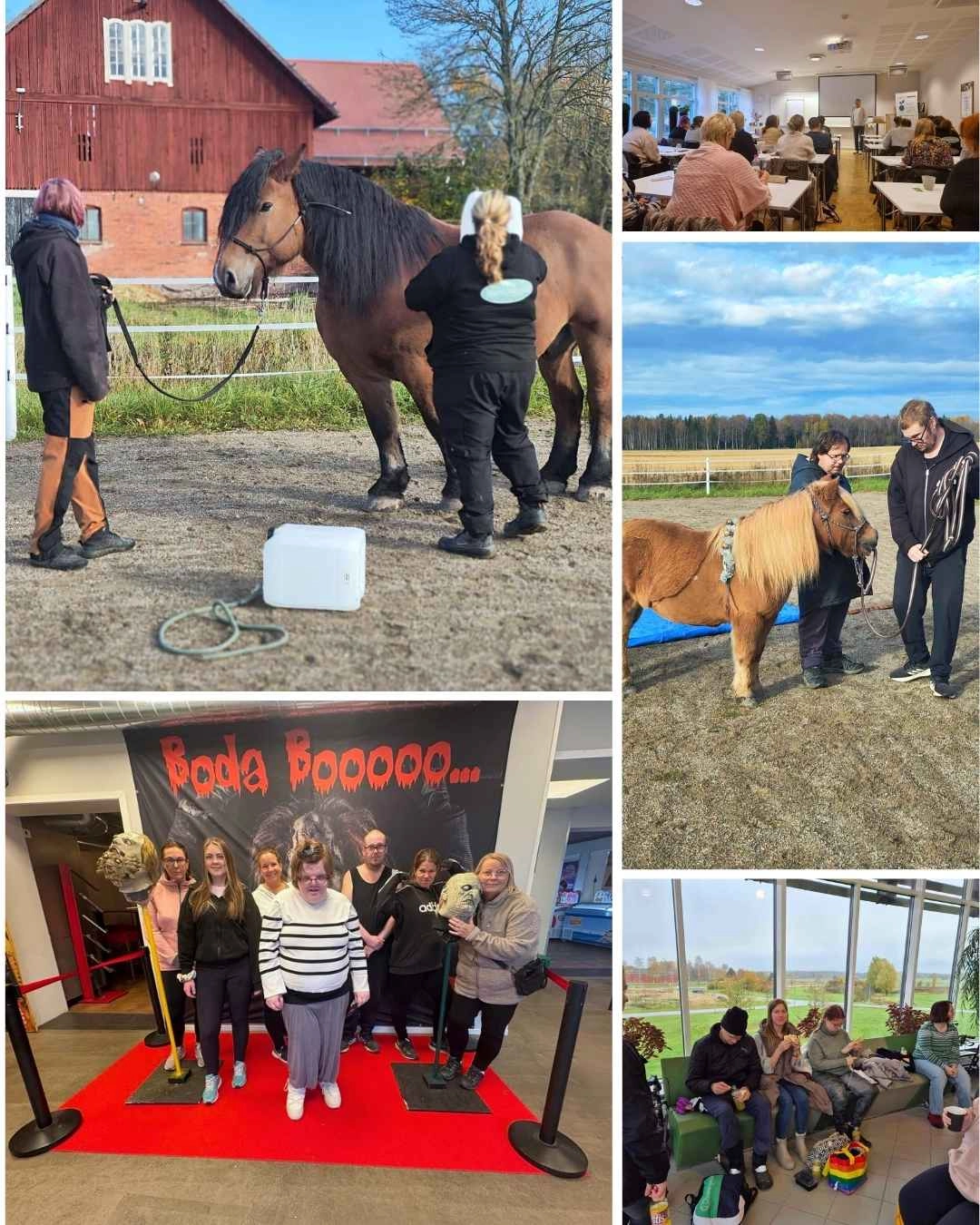 lss-boende-rasmusbyn-oktober-2025-collage-1 Oktobermånad på Rasmusbyns LSS-boende med Funkismello, utbildningsdag, Rasmusbydag och halloweenfirande.