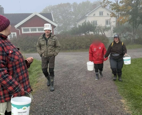 Bybor och personal promenerar tillsammans i höstdimma utanför Rasmusbyns socialterapeutiska LSS-boende.