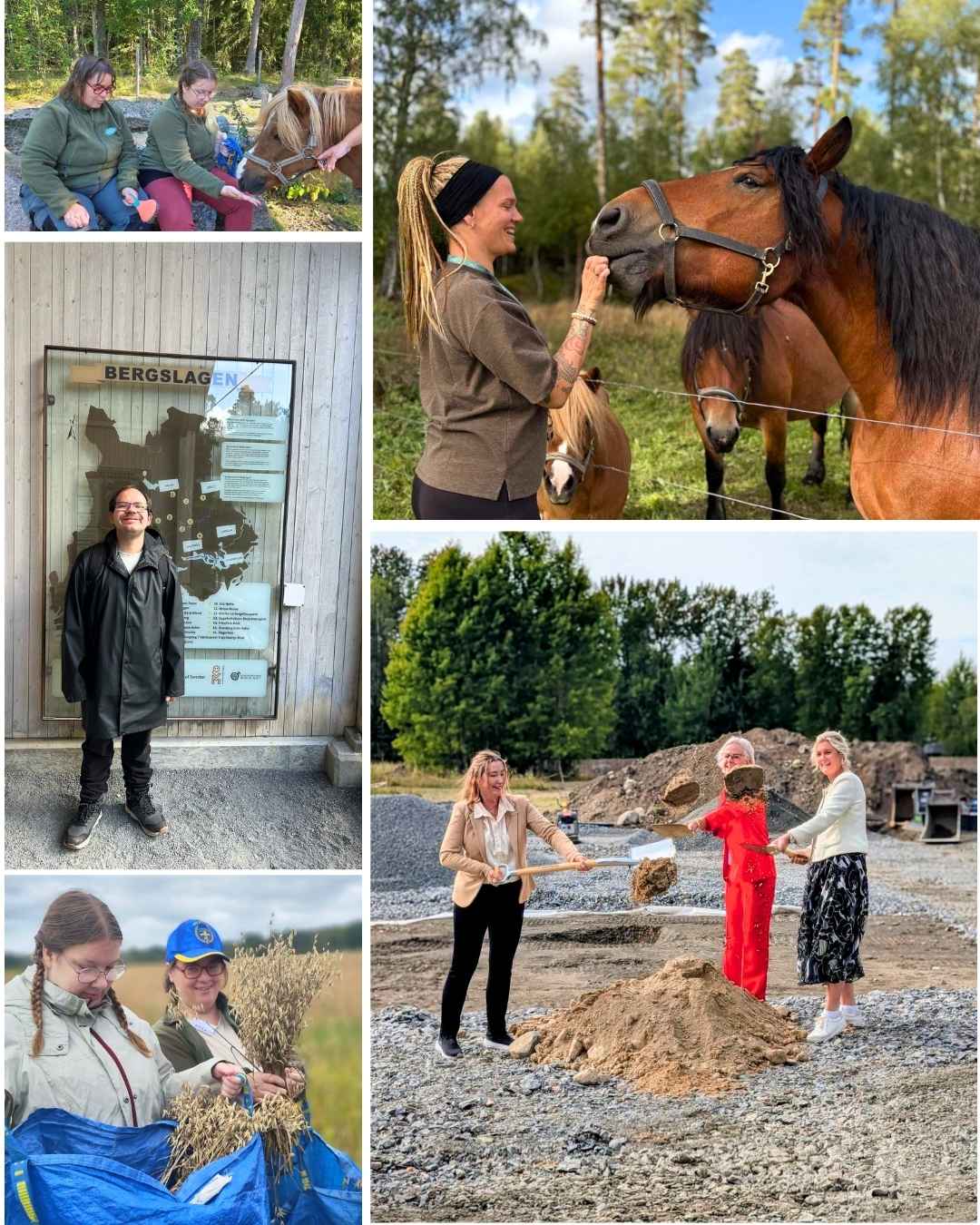 djur-rasmusbyn-lss-verksamhet-orebro