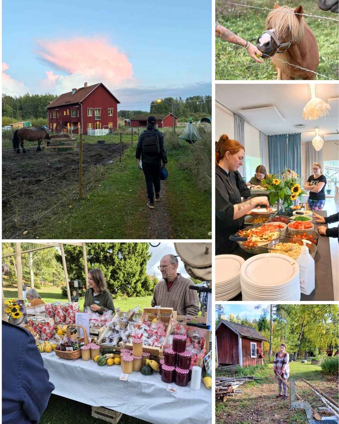 hastar-rasmusbyn-lss-boende-orebro